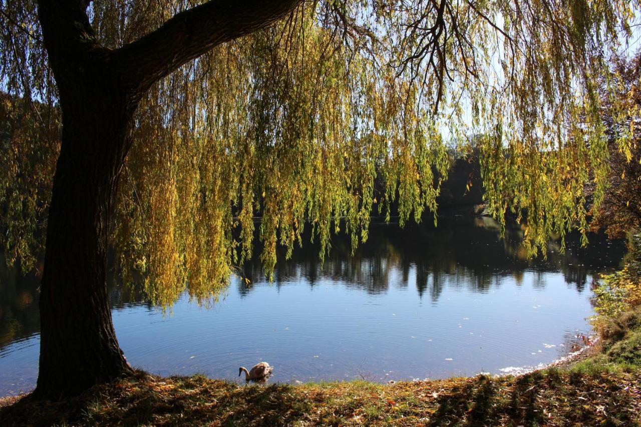 Ferienwohnungen Eifelstuben Mit Charme - Am See, Nahe Burg ウルメン エクステリア 写真