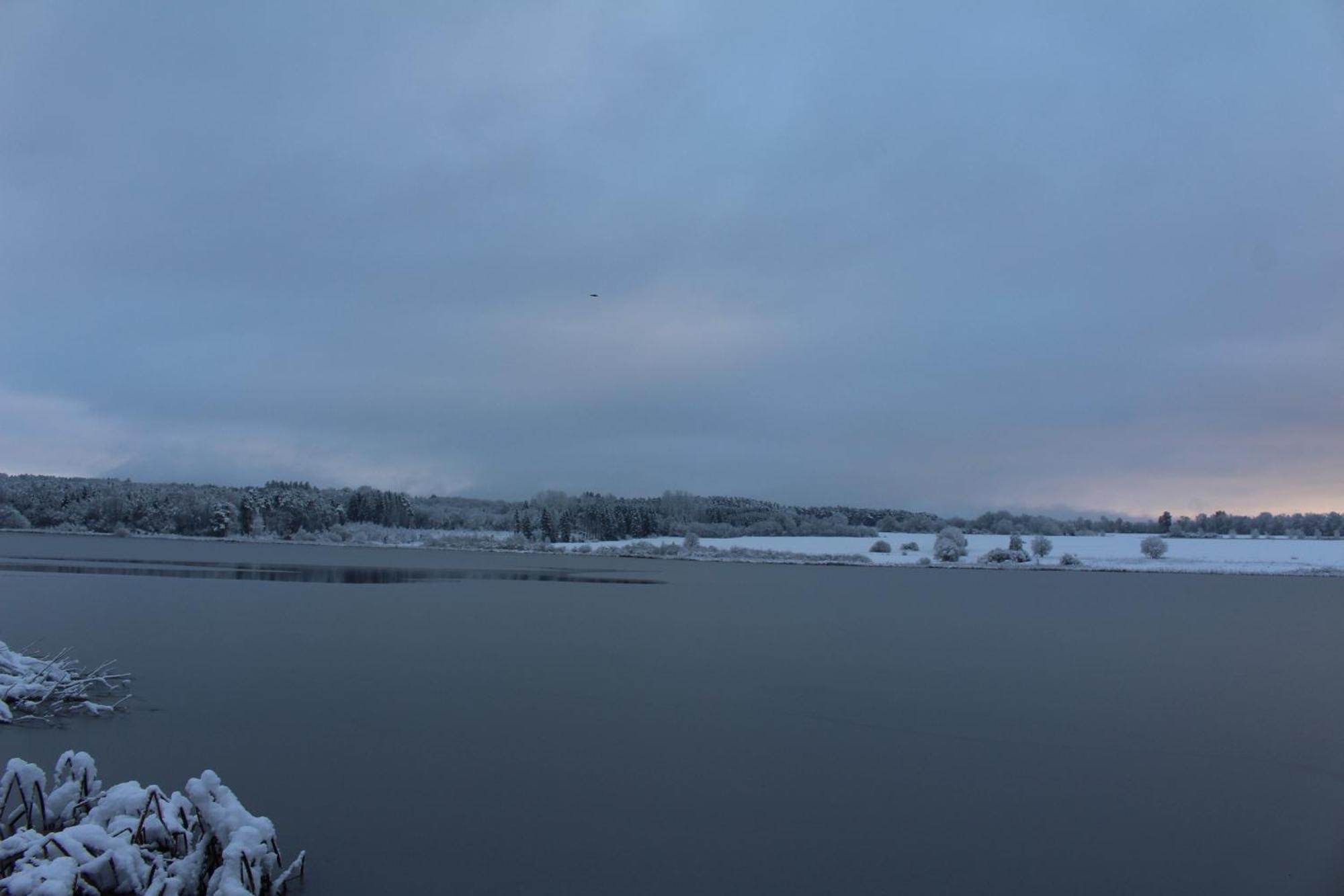 Ferienwohnungen Eifelstuben Mit Charme - Am See, Nahe Burg ウルメン エクステリア 写真