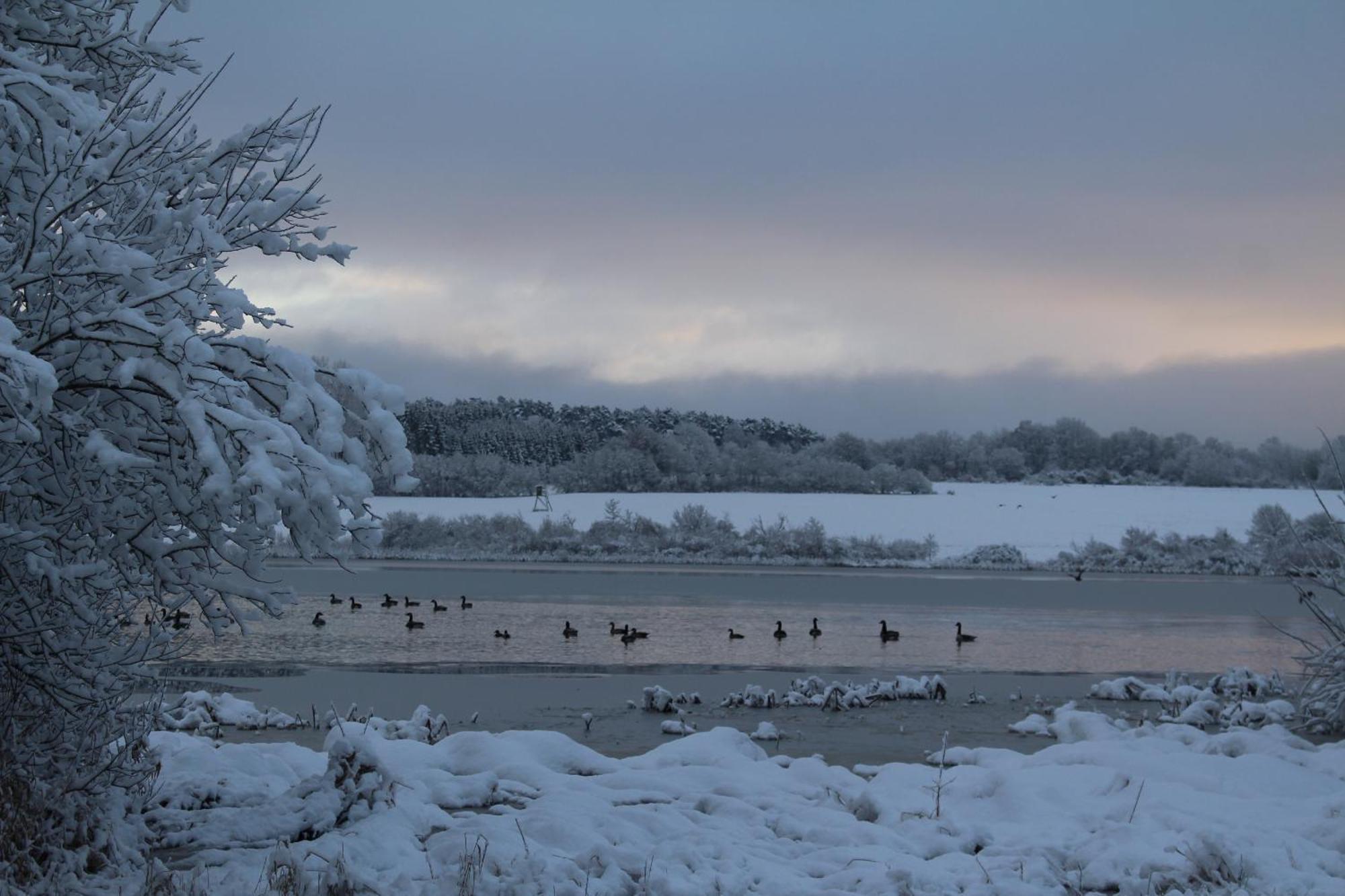 Ferienwohnungen Eifelstuben Mit Charme - Am See, Nahe Burg ウルメン エクステリア 写真